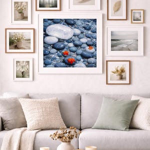 Puede incluir: Una pared de galería con impresiones artísticas enmarcadas. Las impresiones incluyen escenas de la naturaleza, como un bosque, una playa y primeros planos de guijarros y plumas. La pared está sobre un sofá gris con cojines y una mesa de centro de madera.