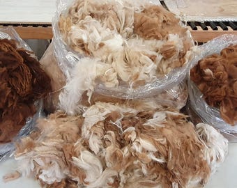 May include: Four clear plastic bags filled with raw, unspun animal fiber. One bag contains dark brown wool, another holds light brown wool, and two bags contain a mixture of white and light brown fibers with a soft, curly texture.