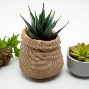 May include: A small, textured, tan-colored pot with a dark green succulent plant. The pot has a woven appearance. A small, gray pot with a green succulent is to the right. Other greenery is in the background.