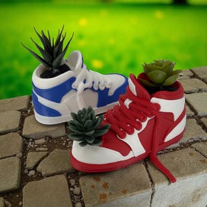 May include: Two sneaker-shaped planters, one blue and white, the other red and white, each holding a succulent plant. The planters are placed on a stone surface with a green background.