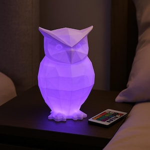 Low Poly Owl Table Lamp – Multicolor USB LED Light with Remote | 3D Printed Owl Decor | Wise & Whimsical Night Light