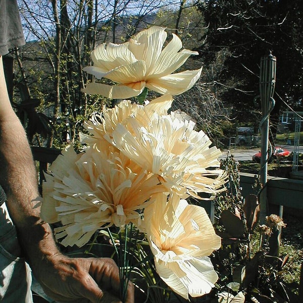 FIORI DI BUCCIA DI MAIS Creme Buccia di mais Fiori naturali da 12 a 14