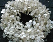 MONEY PLANT Wreath 2021 Lunaria Honesty Free Priority Shipping