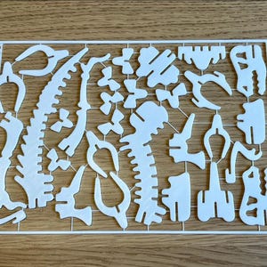 Tarjeta de kit de dinosaurios