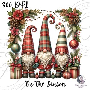 three gnomes wearing plaid hats and red and green outfits, surrounded by Christmas decorations such as pine cones, berries, and ornaments. The text "Tis The Season" is displayed below the gnomes, indicating the festive season.