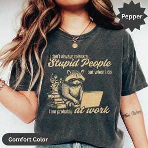 Funny Raccoon Tolerate Stupid People at work T Shirt, Humor Gift for Coworker, At Work Sarcastic Tee, Office Humor Shirt, Gag Gift