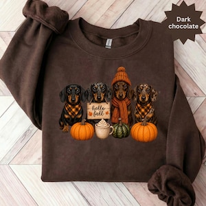 Hello Fall Dachshund Shirt, Cozy Autumn Puppy Lover Sweatshirt, Dog Mom Gift, Pumpkin Spice Doxie T-Shirt