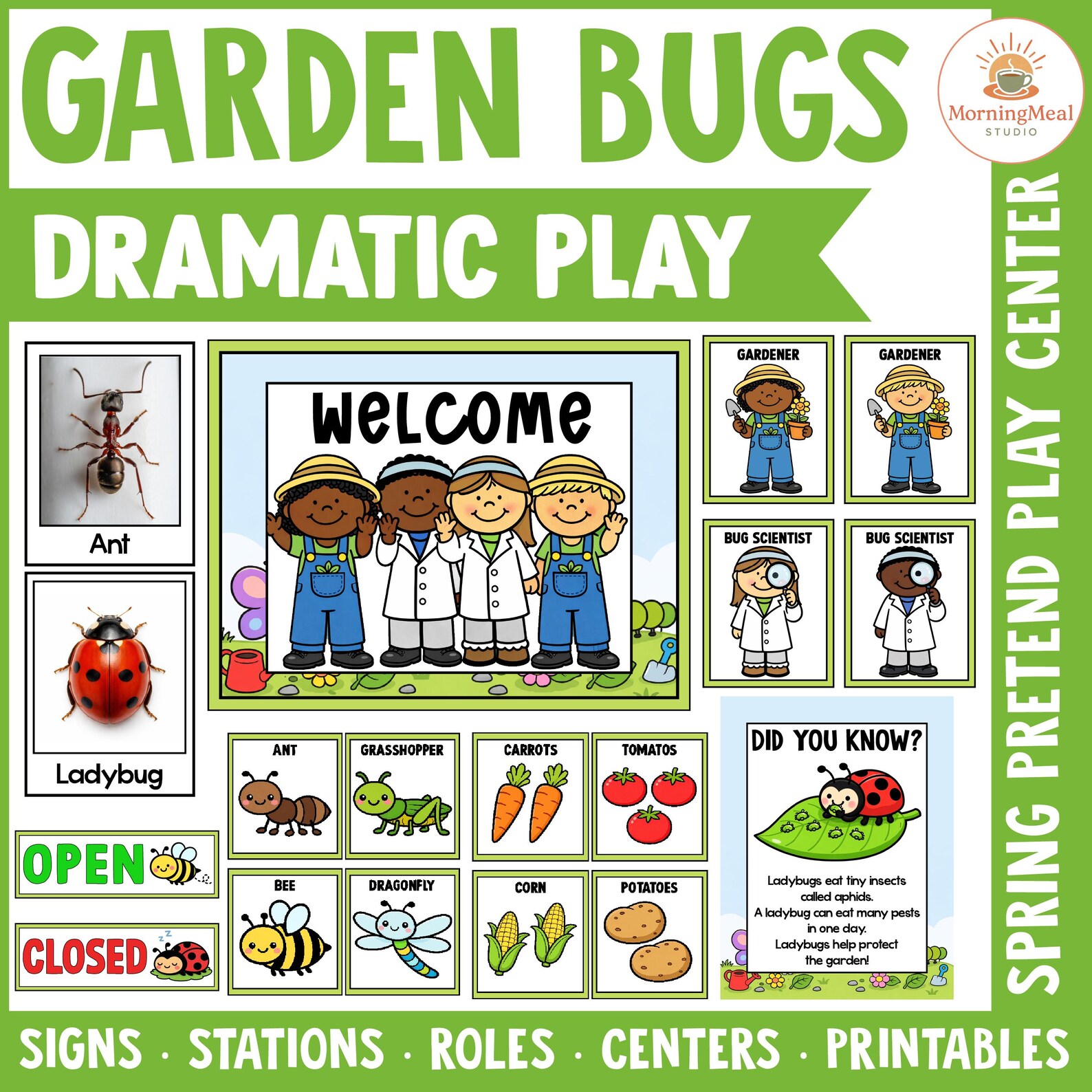 Garden Bugs Dramatic Play Center | Spring Insect Pretend Play Stations ...