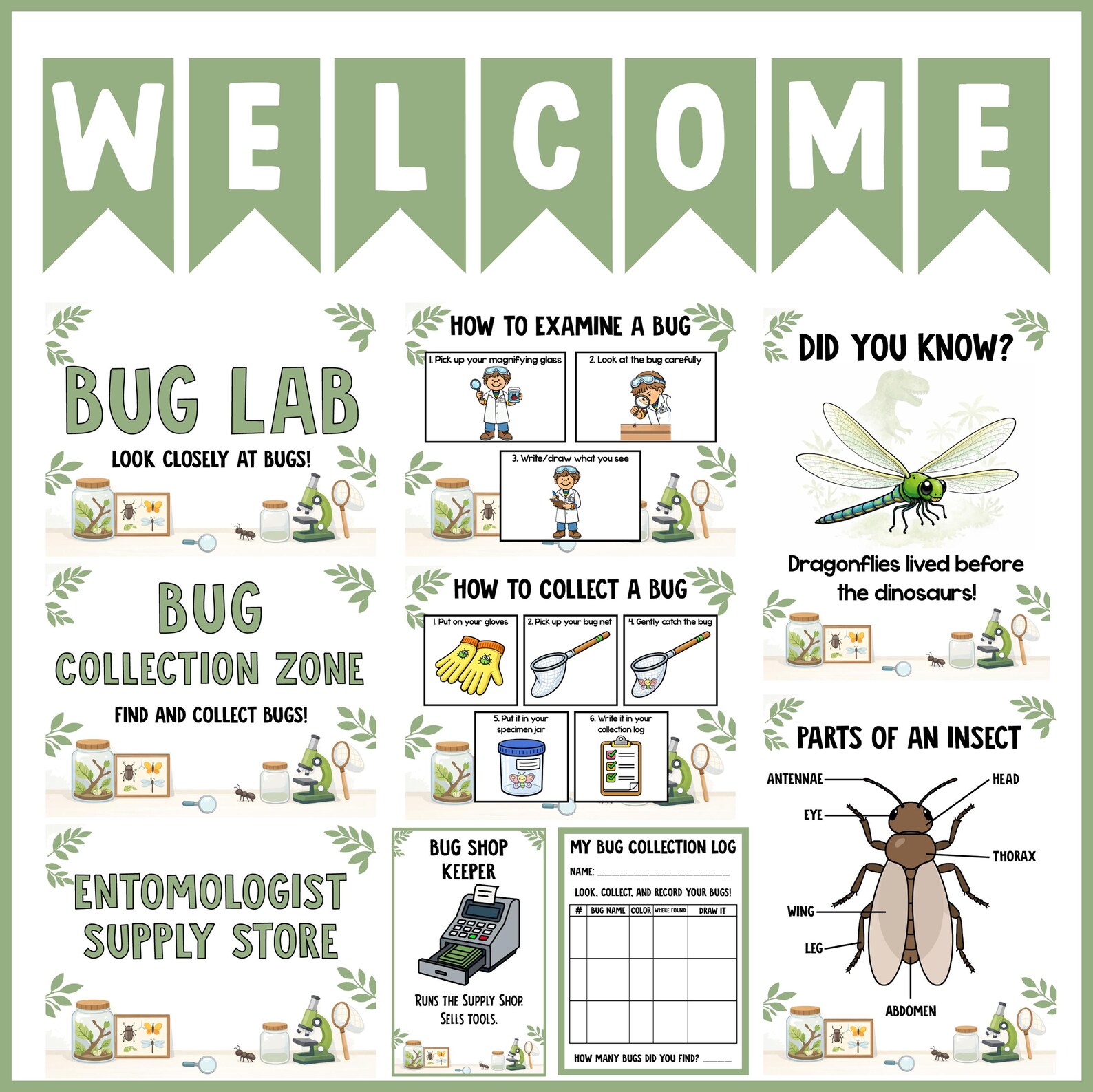 Bug Lab Play Script Entomology Bug Lab Dramatic Play Center | Insect & Bug Science Spring ...