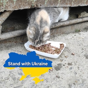 Unterstützen Sie die Ukrainische Familie - Digitaler Datei Download - StandWithUkraine - Ukrainische Postkarte - Ua cat - Peace in UA