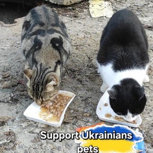 L'Ucraina ha bisogno di supporto. Download di file digitali. Cartolina ucraina. Gatto patriottico