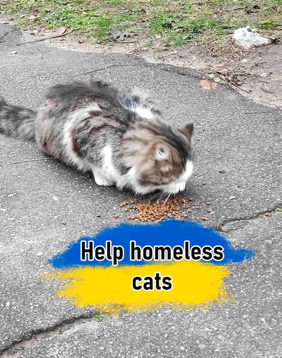 Support Ukrainian pets. Digital file download. Stand With Ukraine