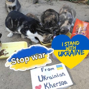Cartolina ucraina. Sostieni l'Ucraina. Download immediato di file multimediali. Sostieni l'Ucraina. Animali domestici e gatti