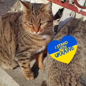 Victory ua. Digitale Datei Download. Ukrainische Ansichtskarte. Stützhaustier. Sofort Download Mediadatei. Katze.