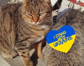 Victory ua. Digitale Datei Download. Ukrainische Ansichtskarte. Stützhaustier. Sofort Download Mediadatei. Katze.