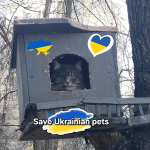 Stehen Sie mit der Ukraine - Unterstützen Sie die Ukrainische Familie - Frieden für die Ukraine - Ukrainische Postkarte - Digitale Datei Download - Save Cat Pet