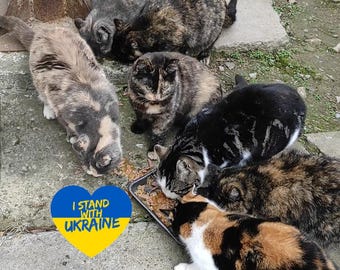 Support Ukrainian Family - Digital file Download - StandWithUkraine - Ukrainian Postcard - UA cat - Peace in UA