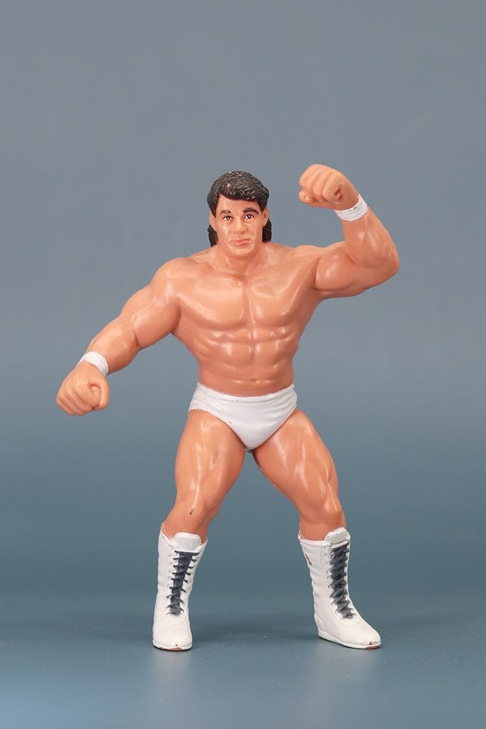 スポーツ WCW galoob フィギュア シッドビシャス 未開封 WWE