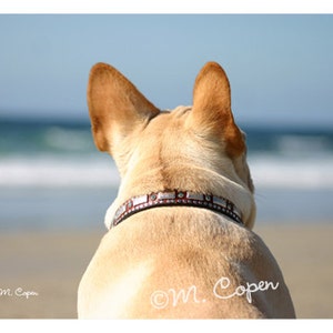Sea Breeze Carte Bulldog Francese - Spiaggia Francese Bulldog - Set di 2 Carte