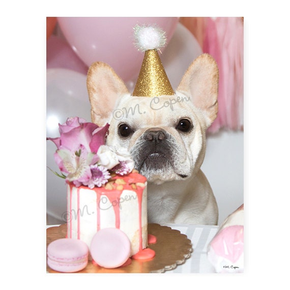 Joyeux Anniversaire Francais Cartes Bulldog 1 Carte Etsy