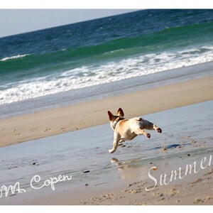 Estate infinita - Biawn French Bulldog - Set di 2 carte