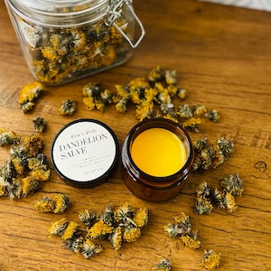 Dandelion Salve | Natural Dandelion Salve NonToxic Skincare Homemade Small Batch Skin Care Herbal Remedy Healing Salve Homegrown