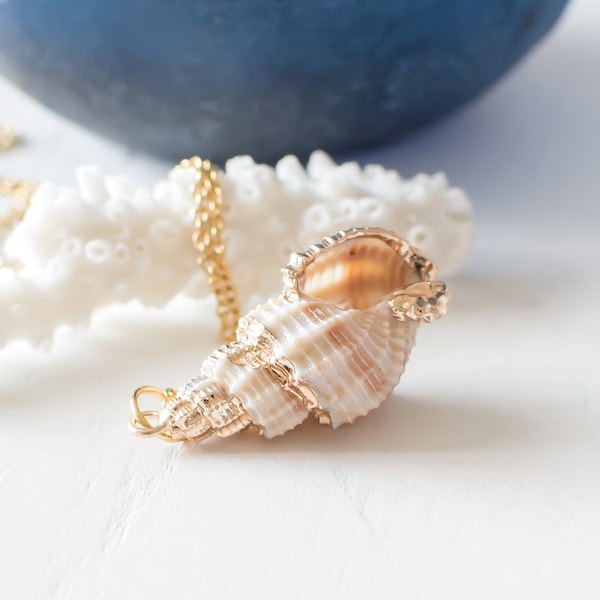 Natural Seashell Necklace, Gold Plated Sea Shell Pendant Necklace, Real Shell Necklace, Ocean Necklace for Beach Lovers.