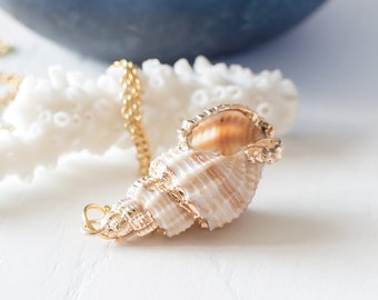 Real conch hotsell shell necklace