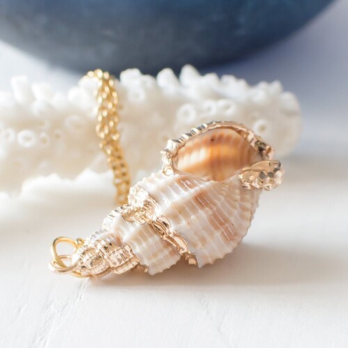 Gold Seashell Necklace Gold Shell Pendant Sea Shell Necklace Etsy