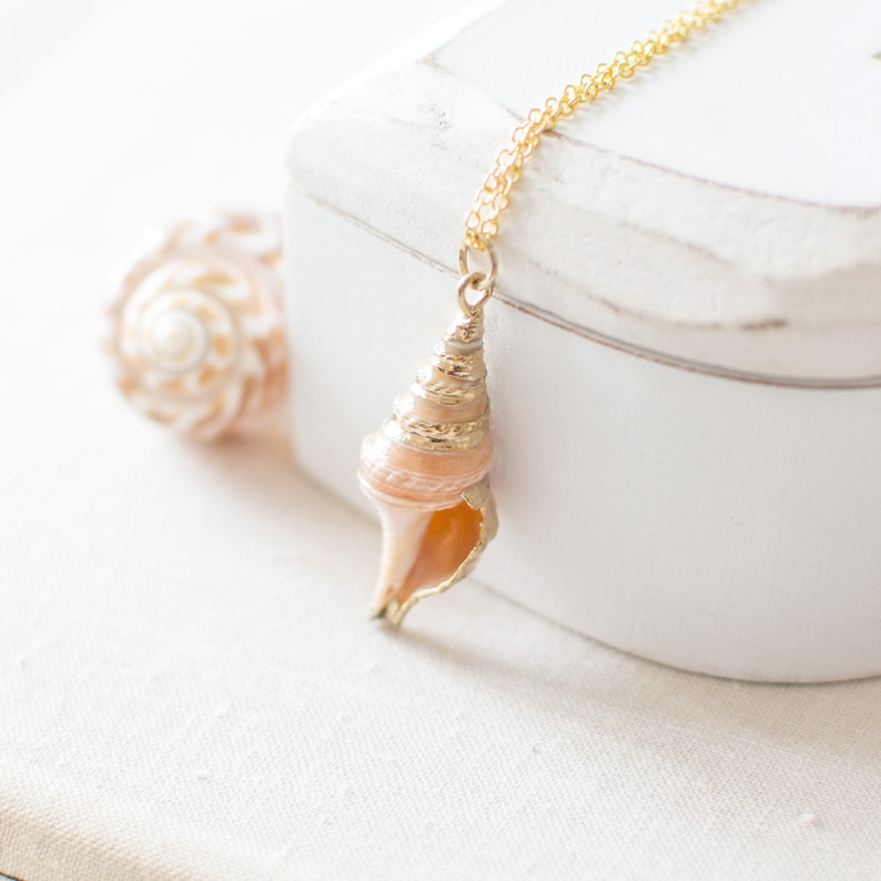 Gold Seashell Necklace. Gold Shell Pendant Necklace. Nautical Etsy