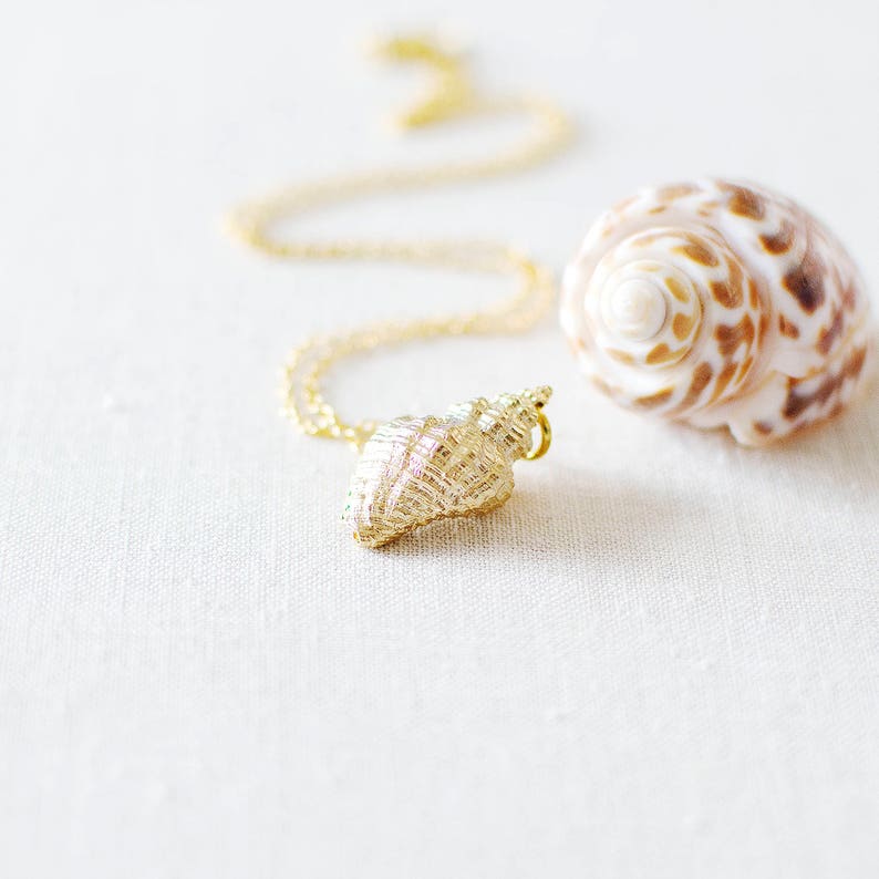 Gold Sea Shell Charm Necklace Seashell Pendant Necklace Gold Etsy