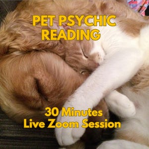 Living Pet Psychic Reading: Understand Your Pet's Feelings