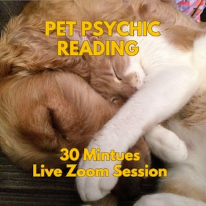 May include: A cozy image featuring a sleeping golden retriever and a cat, intertwined in a peaceful embrace. Text overlay reads "PET PSYCHIC READING" and "30 Mintues Live Zoom Session" in yellow.
