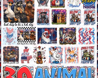 30 Independence Day Png Bundle, Patriotic Coquette Png, American Png, USA png, Coquette Png, Preppy Patriotic, Red White Blue Png