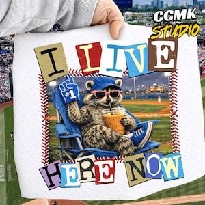 Rolig tvättbjörnsbollplan png, basebollmamma-stil png, softbollclipart, baseboll-softbollturnering för resor, softbollmamma-design png