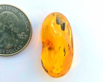 BALTIC Amber- Freeform Nugget #D - 3.29 g - Beautiful Specimen