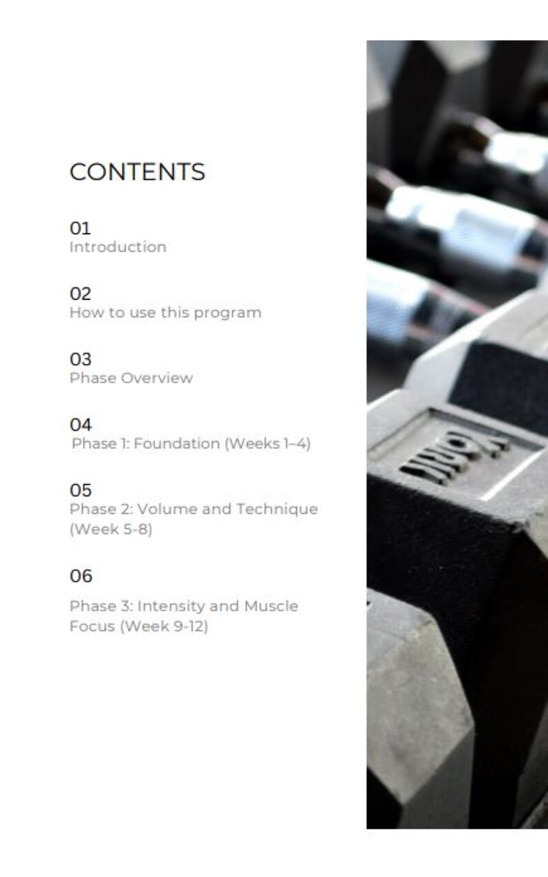 Foundations to Gains: 12-week Muscle Builder - Etsy