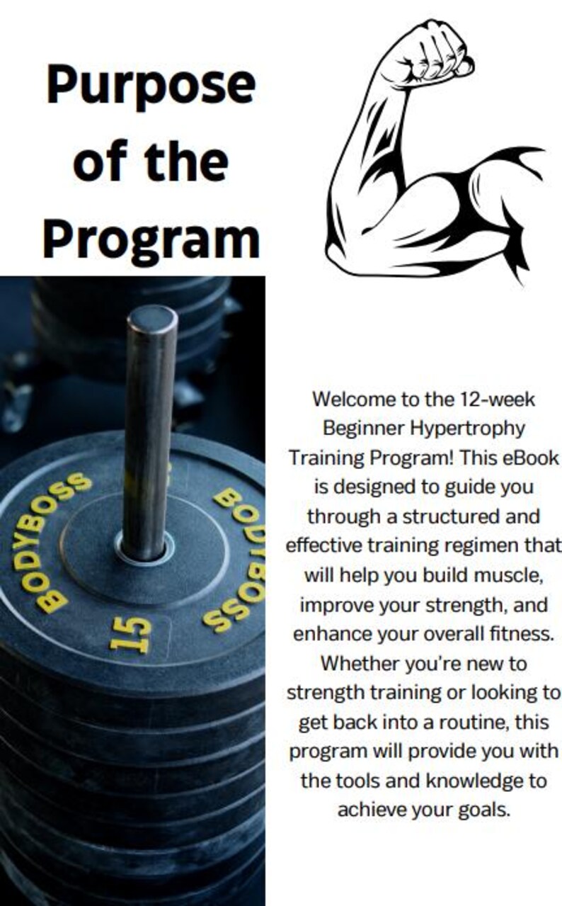 Foundations to Gains: 12-week Muscle Builder - Etsy