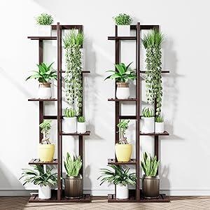 May include: Two dark brown wooden plant stands, each with multiple shelves holding various potted plants. The plants include green leafy varieties and trailing plants, creating a vertical garden display against a white wall.