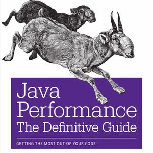 Könnte beinhalten: Buchcover mit lila Hintergrund. Der Titel lautet "Java Performance The Definitive Guide" mit dem O'Reilly-Logo. Das Cover-Artwork zeigt zwei laufende, antilopenartige Tiere. Der Name des Autors, Scott Oaks, steht unten.