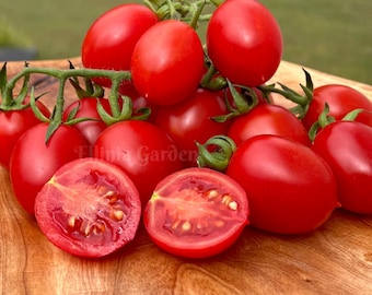 Piennolo Del Vesuvio tomato seeds