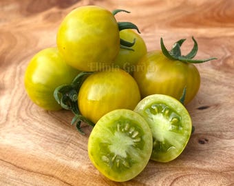 Sementes de tomate Fat Frog Micro Dwarf