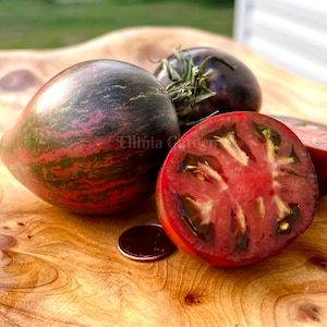 Rebel Starfighter Prime tomato seeds