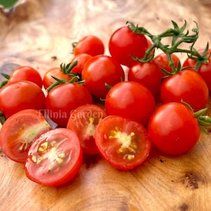 May include: A collection of ripe, red cherry tomatoes, some whole and others halved, displayed on a wooden surface. The tomatoes have green stems and visible seeds, showcasing their fresh, natural appearance.