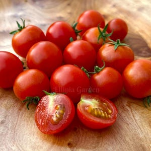以下が含まれることがあります： 木製の表面に置かれた赤いミニトマトのグループのクローズアップ。トマトの一部は半分にカットされており、種が見える。画像には「Ellijia Garden」というテキストが表示されています。