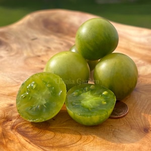 May include: Green tomatoes, some halved, on a wooden surface. The tomatoes are round and have a smooth, shiny skin.