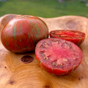 Puede incluir: Un tomate heirloom rojo y verde rayado, cortado por la mitad, revelando un interior rojo brillante. El tomate está sentado sobre una superficie de madera junto a un centavo.