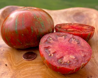 Girl Girl's Weird Thing Tomatensamen