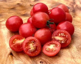 Sementes de tomate Rosy Finch Micro Dwarf