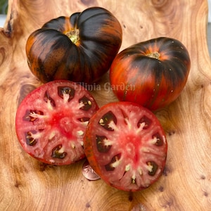 Rebel Starfighter Dipper&#39;s Delight tomato seeds